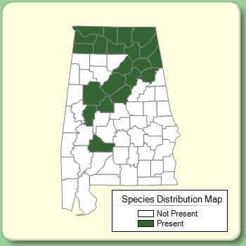 Species Distribution Map