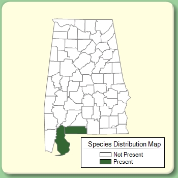 Species Distribution Map