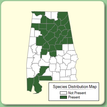 Species Distribution Map