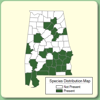 Species Distribution Map