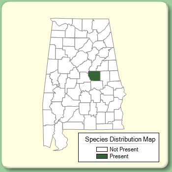 Species Distribution Map