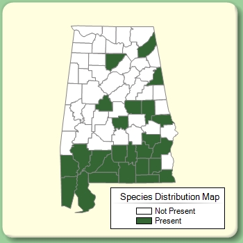 Species Distribution Map