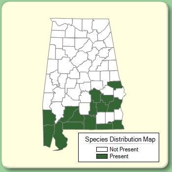 Species Distribution Map