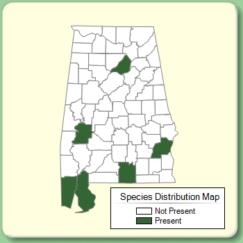 Species Distribution Map