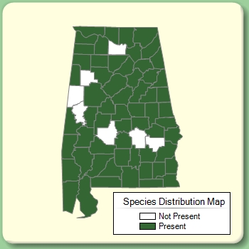 Species Distribution Map