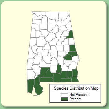 Species Distribution Map