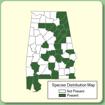 Species Distribution Map