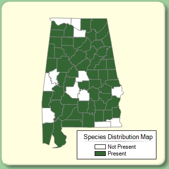 Species Distribution Map