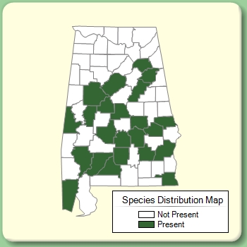 Species Distribution Map