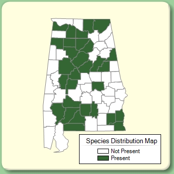 Species Distribution Map