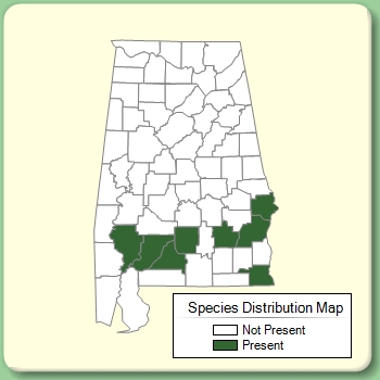 Species Distribution Map