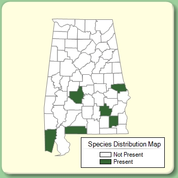 Species Distribution Map