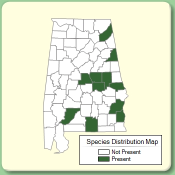 Species Distribution Map