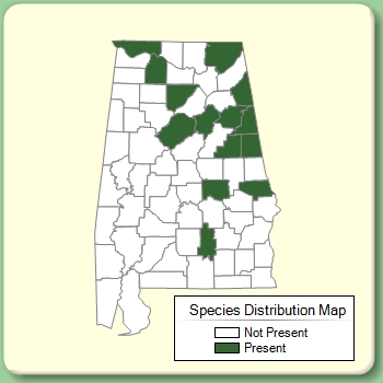 Species Distribution Map