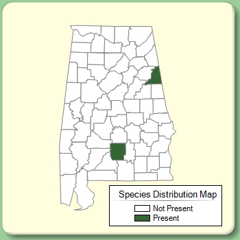 Species Distribution Map