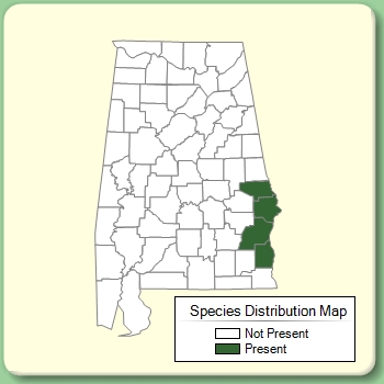 Species Distribution Map