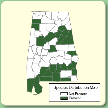 Species Distribution Map