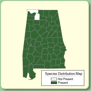 Species Distribution Map