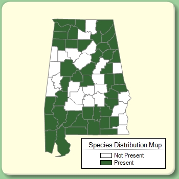 Species Distribution Map