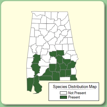 Species Distribution Map