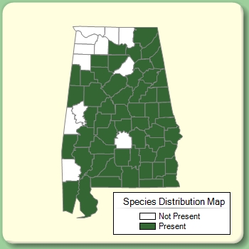 Species Distribution Map