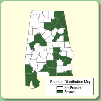 Species Distribution Map