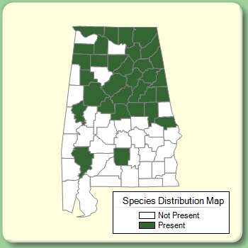 Species Distribution Map