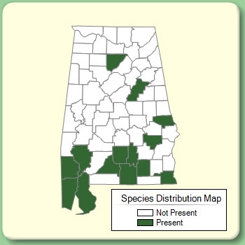 Species Distribution Map