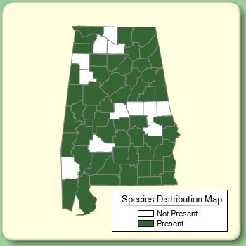 Species Distribution Map