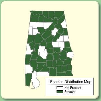 Species Distribution Map