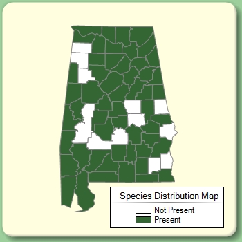 Species Distribution Map