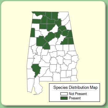 Species Distribution Map