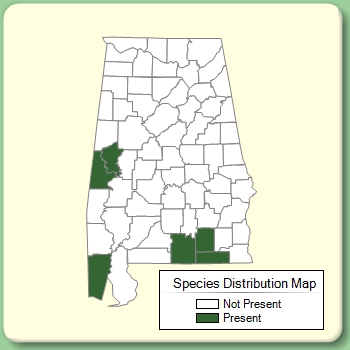 Species Distribution Map