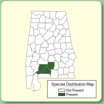 Species Distribution Map