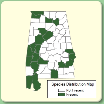 Species Distribution Map