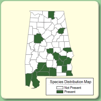 Species Distribution Map