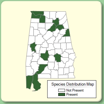 Species Distribution Map