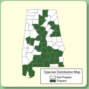 Species Distribution Map