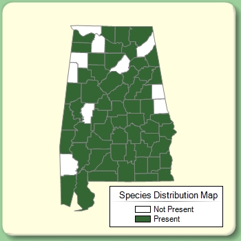 Species Distribution Map