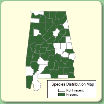 Species Distribution Map