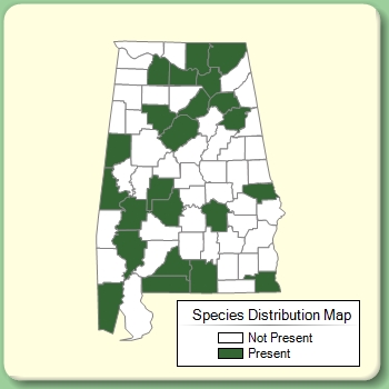 Species Distribution Map