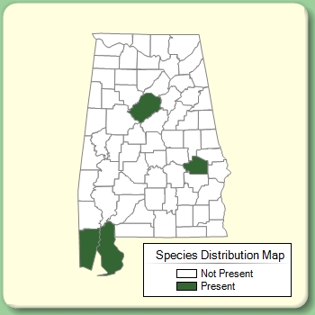 Species Distribution Map