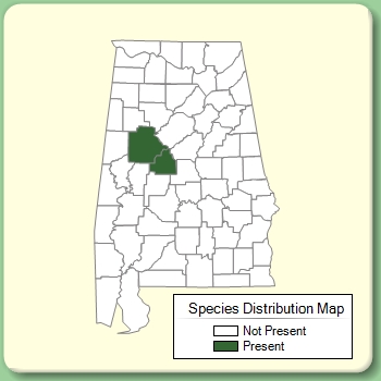 Species Distribution Map