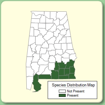 Species Distribution Map