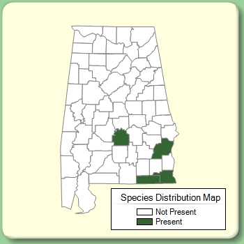 Species Distribution Map