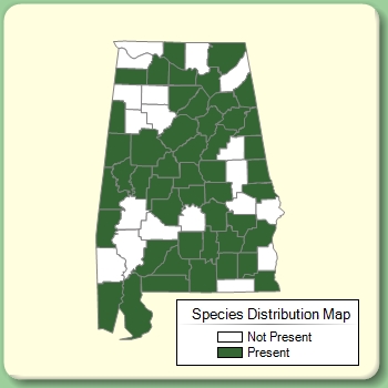 Species Distribution Map