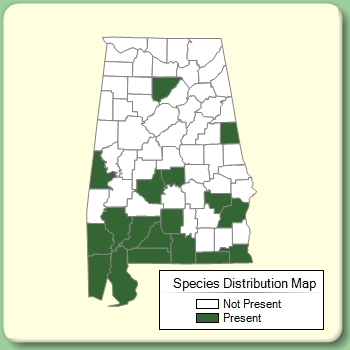 Species Distribution Map