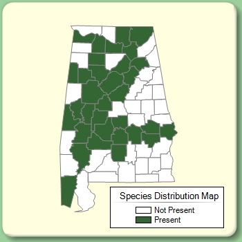 Species Distribution Map