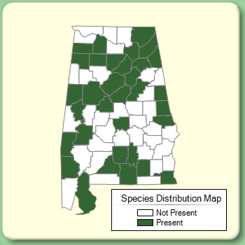 Species Distribution Map