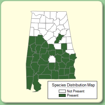 Species Distribution Map